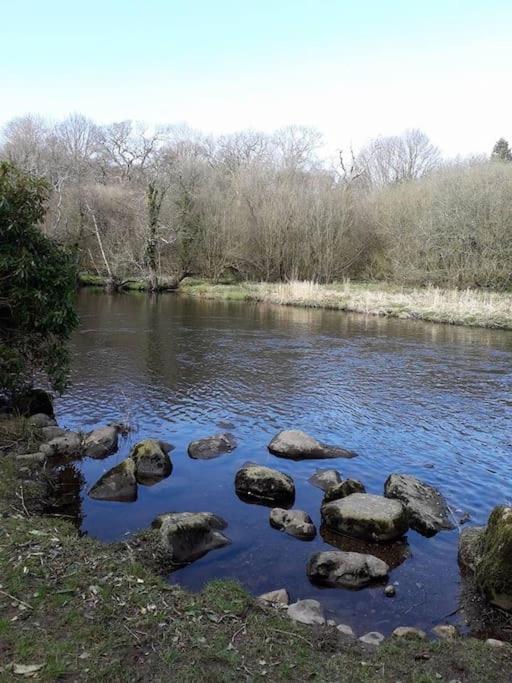 Stunning 3 Bed Riverside Cabin In Snowdonia Caeathro Buitenkant foto
