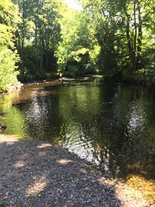 Stunning 3 Bed Riverside Cabin In Snowdonia Caeathro Buitenkant foto