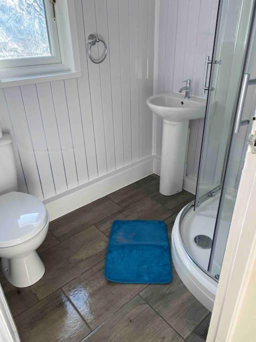 Stunning 3 Bed Riverside Cabin In Snowdonia Caeathro Buitenkant foto