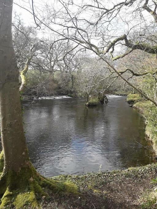 Stunning 3 Bed Riverside Cabin In Snowdonia Caeathro Buitenkant foto