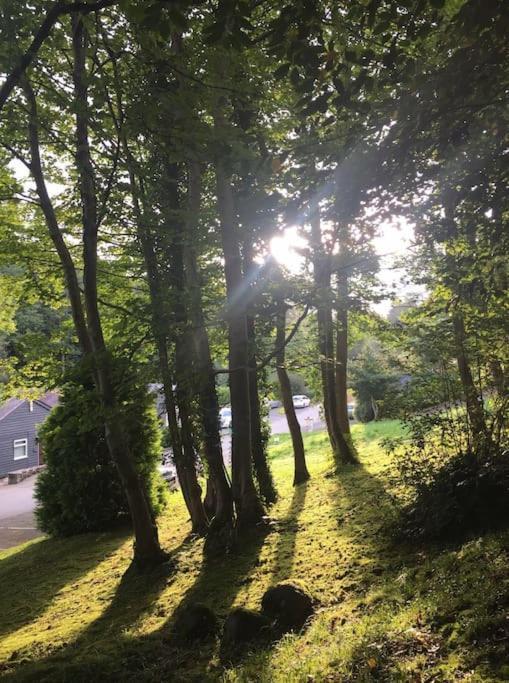 Stunning 3 Bed Riverside Cabin In Snowdonia Caeathro Buitenkant foto